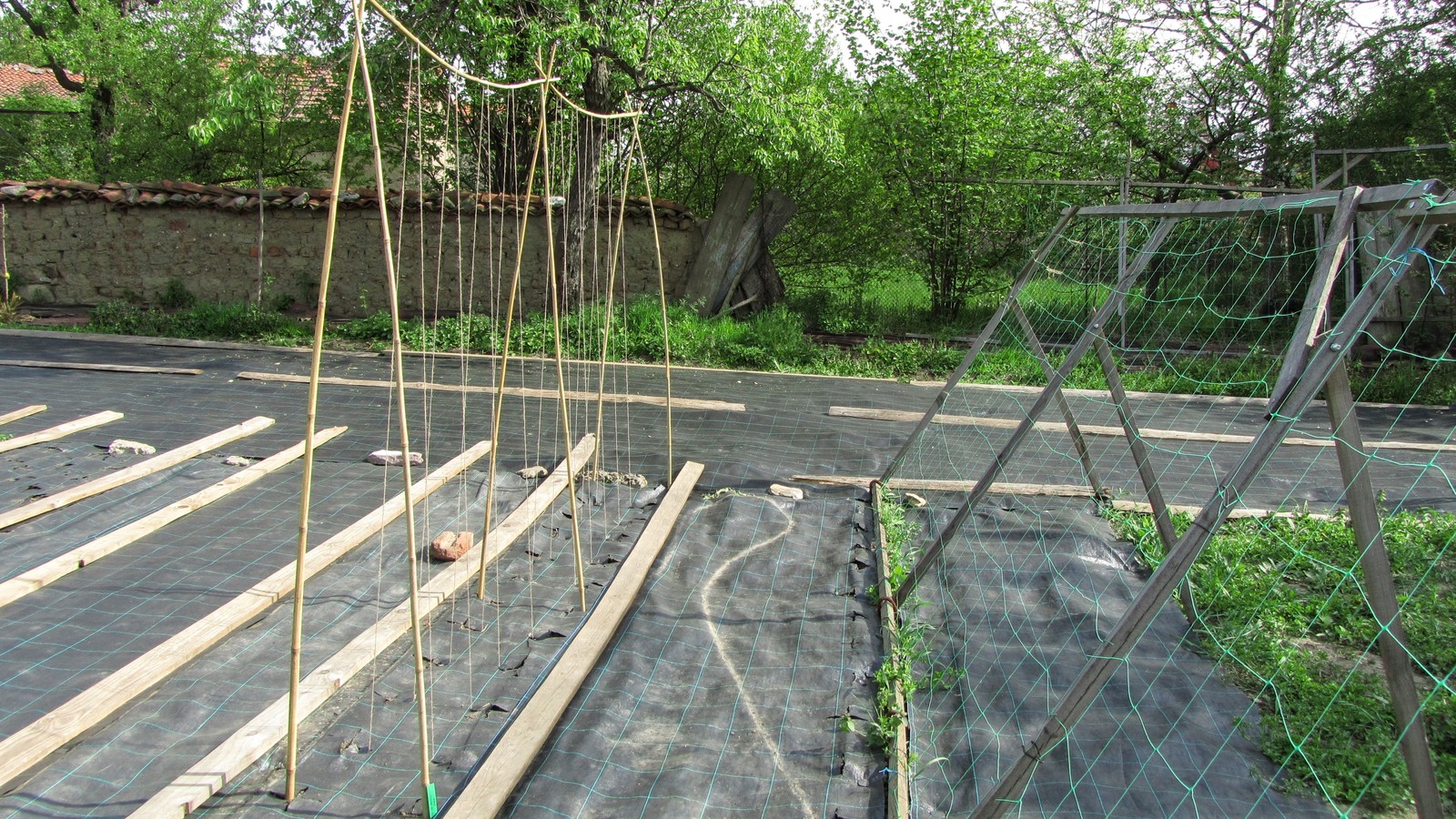 бамбукова конструкция за увивни :)